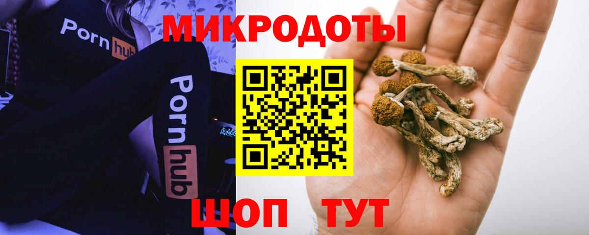 Галлюциногенные грибы ЛСД  Вход с VPN  Александров  Псилоцибиновые грибы Psilocybine cubensis 